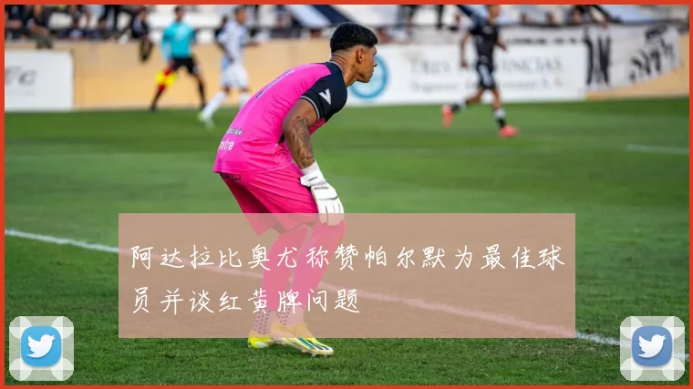 阿达拉比奥尤称赞帕尔默为最佳球员并谈红黄牌问题