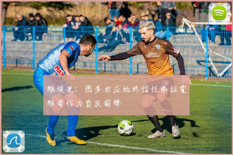 维埃里：图多尔应始终信任弗拉霍维奇作为首发前锋