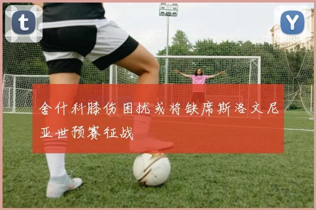 舍什科膝伤困扰或将缺席斯洛文尼亚世预赛征战