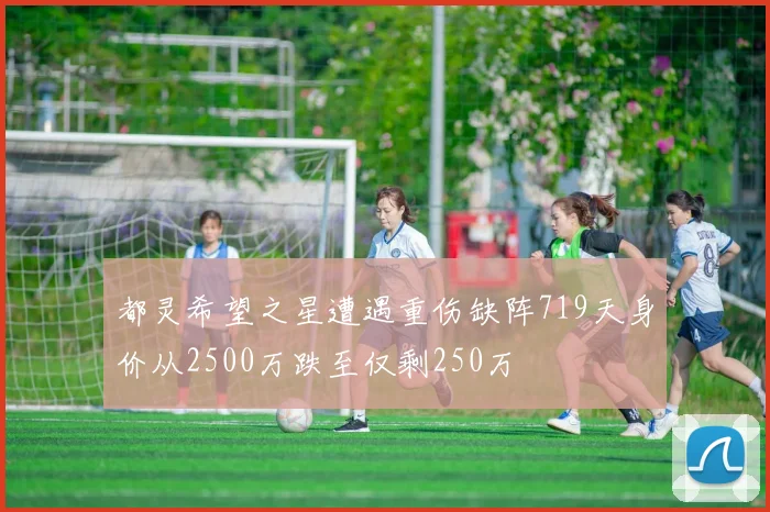 都灵希望之星遭遇重伤缺阵719天身价从2500万跌至仅剩250万