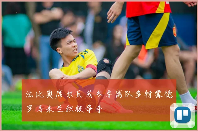法比奥席尔瓦或冬季离队多特蒙德罗马米兰积极争夺