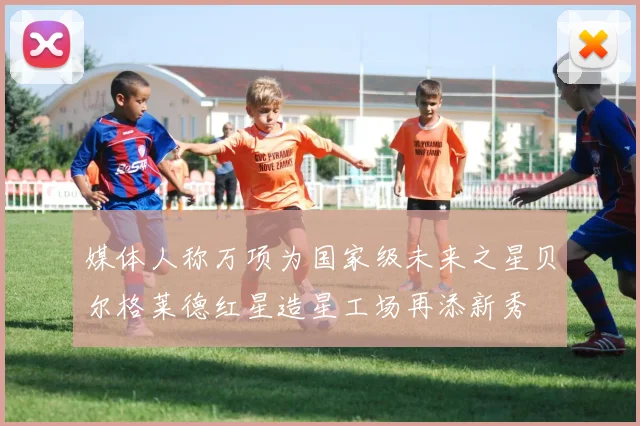 媒体人称万项为国家级未来之星贝尔格莱德红星造星工场再添新秀