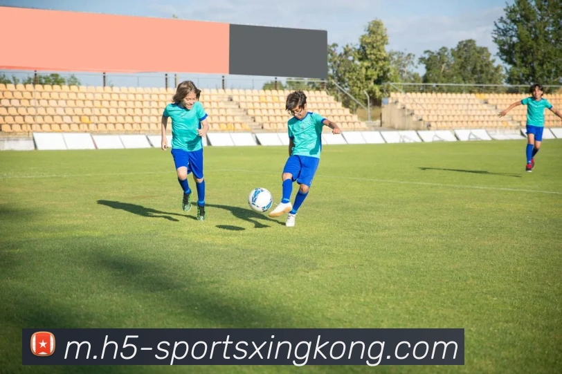 星空体育平台生态图